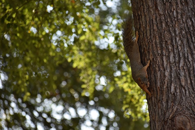 这种立体空 这种立体空