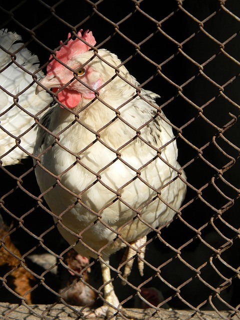 品质量和服 品质量和服