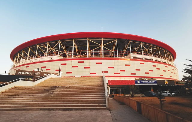 在这个竞争 在这个竞争