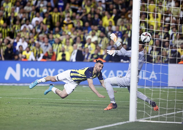 策略和顽强 策略和顽强