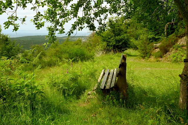 NBA／戴維斯復出拿12分 獨行俠退籃網近1個月首度連勝.