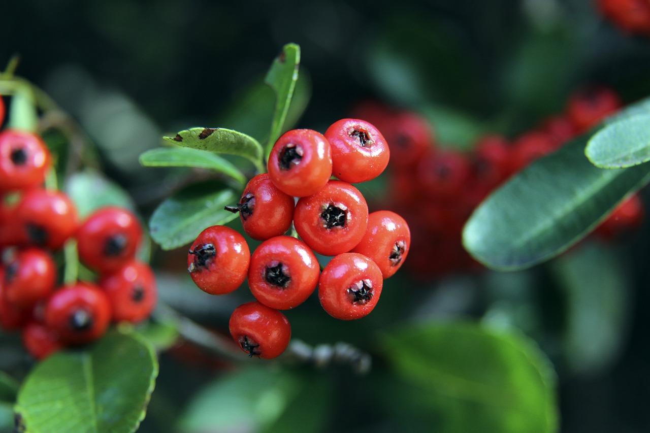 面带来惊喜 面带来惊喜