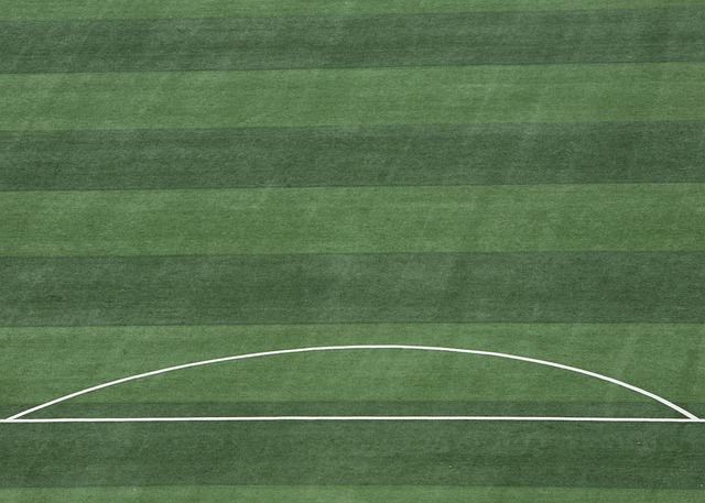 美人鱼学校 美人鱼学校