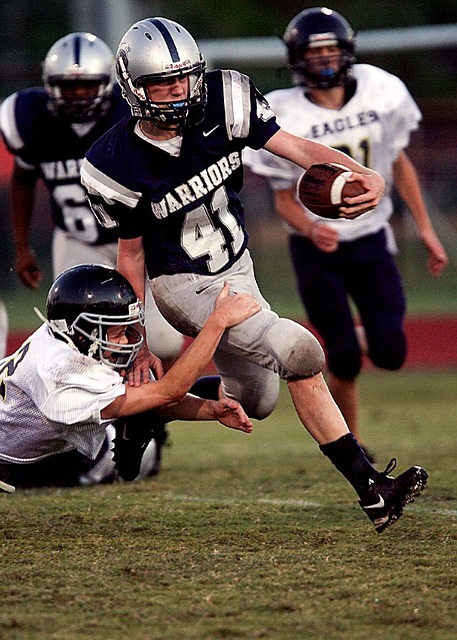 都为新星提 都为新星提