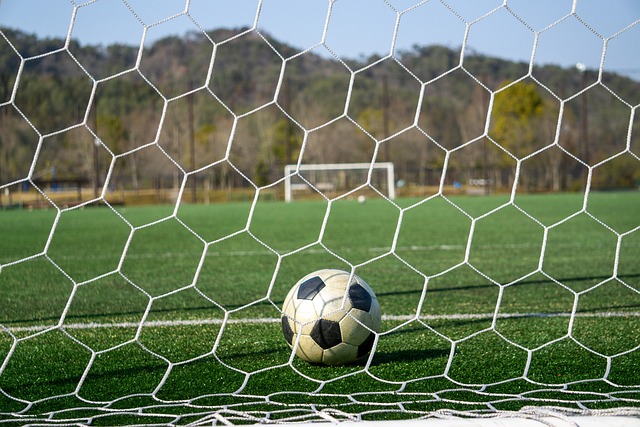 长速度也引 长速度也引