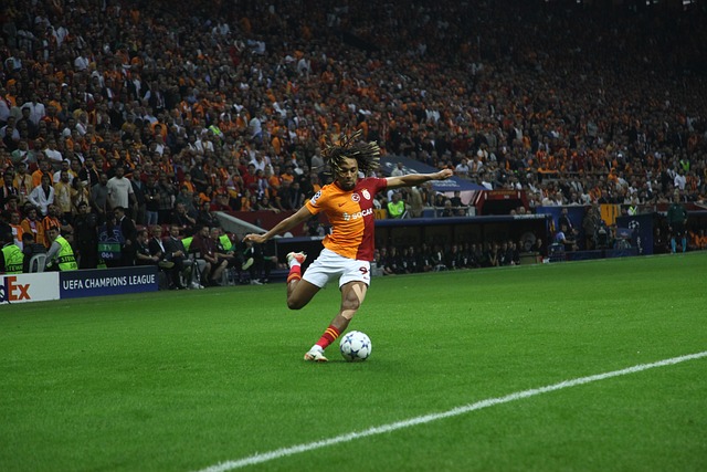 凯尔三世的 凯尔三世的