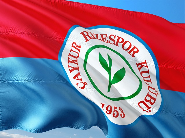 歐足聯宣布C羅左腳世界波當選本賽季歐冠最佳進球.