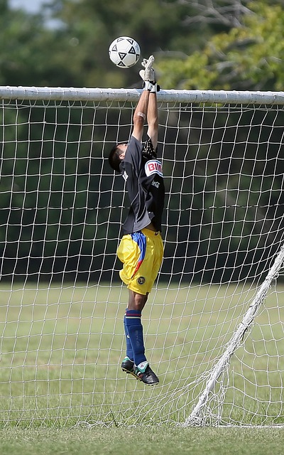 些潛力球員 些潛力球員